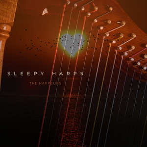 男人舔女人下面视频
