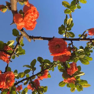 男人舔女人下面视频
