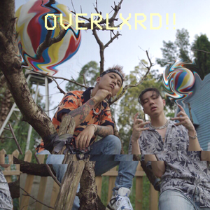 毛茸的的美女屌
