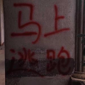 欧美女人和猪内谢视频
