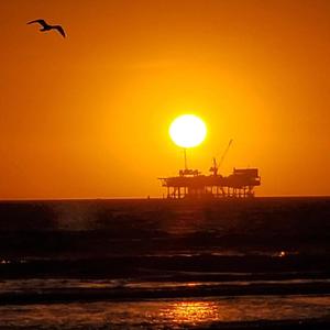 欧美女人和猪内谢视频
