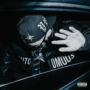 欧美女人和猪内谢视频
