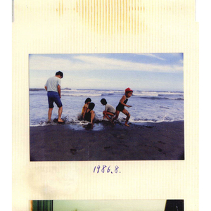 黃色A片三級三級三級免费看欲兔
