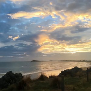 黃色A片三級三級三級免费看欲兔
