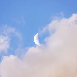 欧美女人和猪内谢视频
