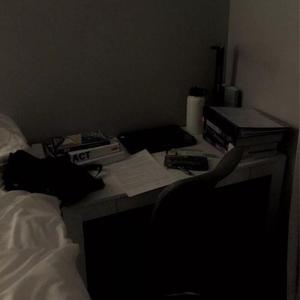 欧美女人和猪内谢视频
