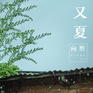 男人舔女人下面视频
