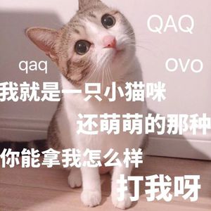 亚洲成H人AV无码动漫无遮挡
