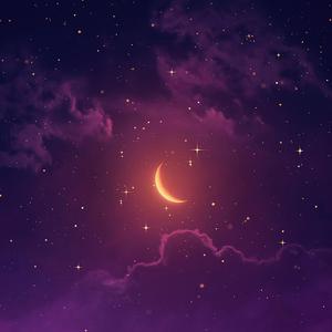 欧美女人和猪内谢视频
