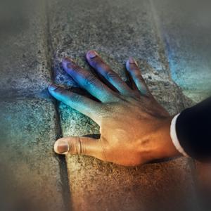 欧美女人和猪内谢视频
