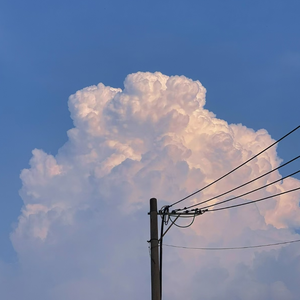 毛茸的的美女屌
