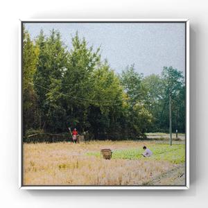 女性生的🍌❌❌❌进去里
